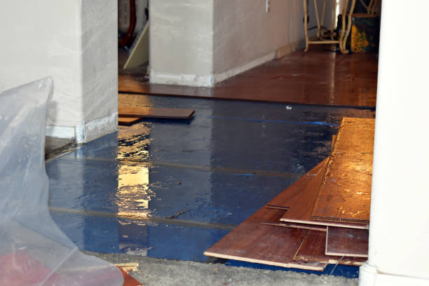 Professional Basement Flood Cleanup technician working in Ravena, NY